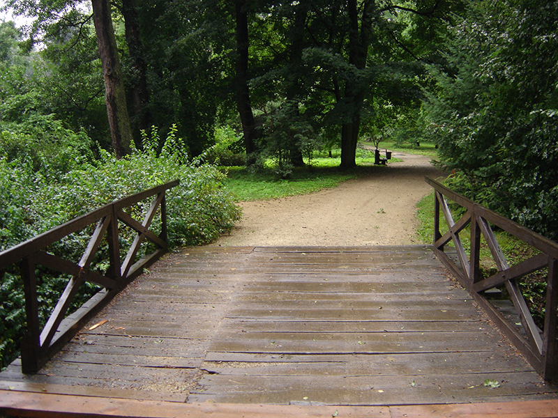 4 Evszak A Zirci Arboretumrol 291