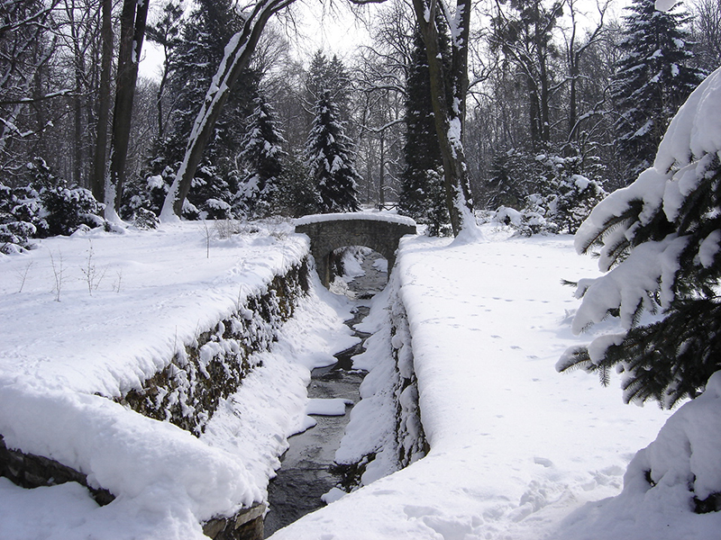 4 Evszak A Zirci Arboretumrol 6