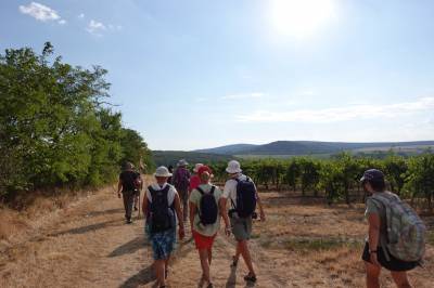 B2ap3 Thumbnail DSC02026