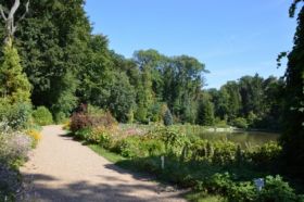 Arborétumi szakvezetés