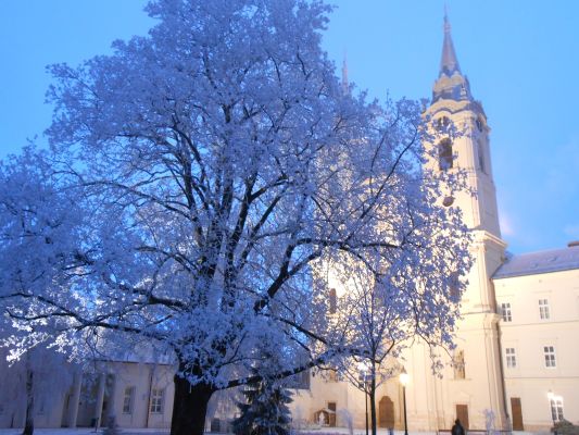 A Zirci Ciszterci Apátság Adventi programsorozata