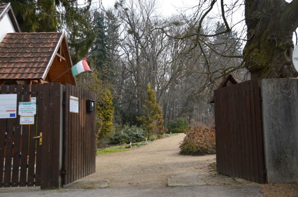 Arborétumunk ismét látogatható