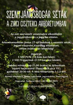 b2ap3_thumbnail_Szentjnosbogr-stk-az-Arbortumban.jpg