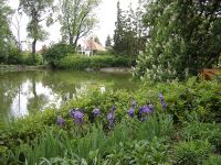 4 Evszak A Zirci Arboretumrol 121