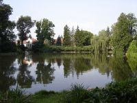 4 Evszak A Zirci Arboretumrol 319