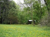 4 Evszak A Zirci Arboretumrol 72